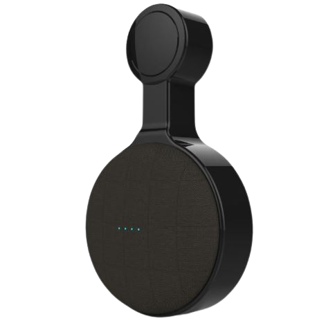 Google Home Mini Wall Holder
